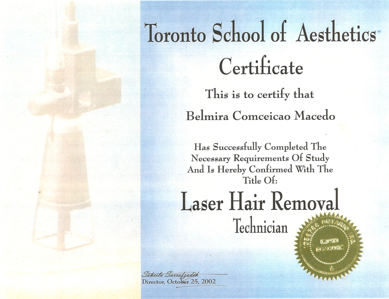 Laser Hair Removal